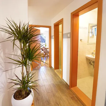 Apartments Pr' Pavleto Bohinj Exterior photo