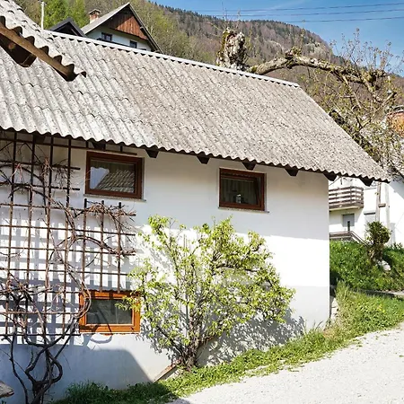 Apartments Pr' Pavleto Bohinj Exterior photo