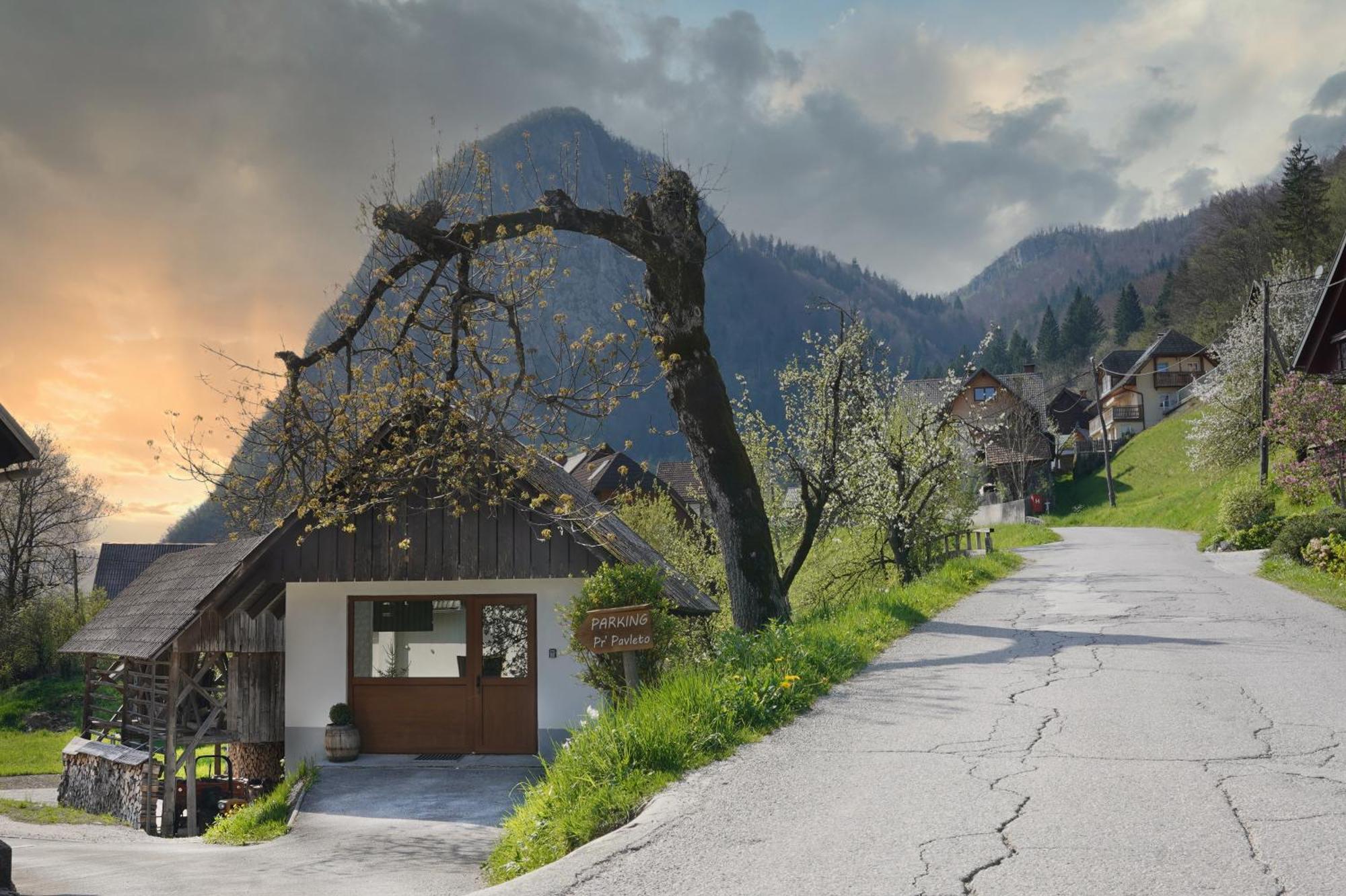 Pr' Pavleto Apartment Bohinj